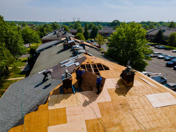 Trusted Roof Replacement service in Saint Paul, OR - Brentwood Metal Roofing